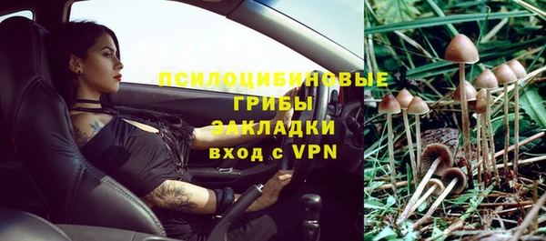 гашик Нефтекумск