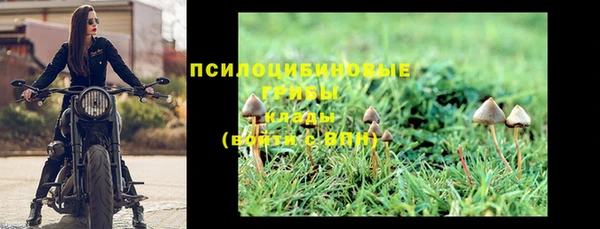 гашик Нефтекумск