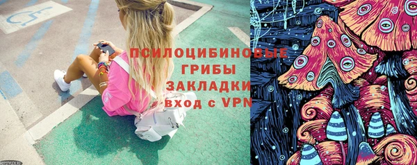 гашик Нефтекумск